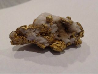 Huge gold nugget 80.  61gr (EZE033725) 8