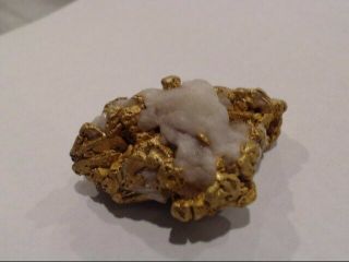Huge gold nugget 80.  61gr (EZE033725) 9