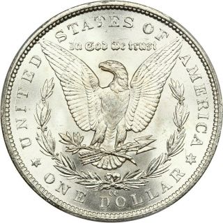 1883 - CC $1 PCGS MS67 - Frosty,  White Gem - Morgan Silver Dollar 4