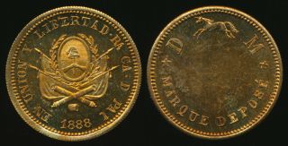 ,  You Id,  1888 Argentina Marque Depose Medal (bronze Beauty)
