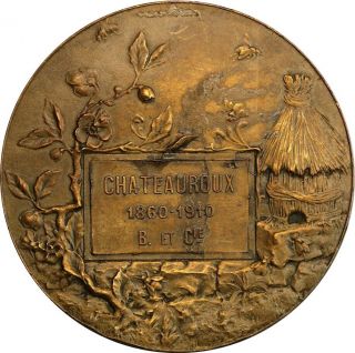 France - 1910 Bronze Art Nouveau Medal,  Apiculture,  Bee Hive,  Train,  Railroad O