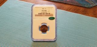 1881 Indian Head Penny 1c Proof Pr 67 Rb Red Brown Ngc