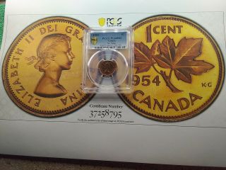 Canada 1954 Small Cent No Shoulder Strap Pcgs Pl - 66 Rd Bcs 795