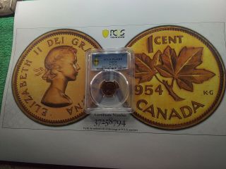 Canada 1954 Small Cent No Shoulder Strap Pcgs Pl - 66 Rd Bcs 794