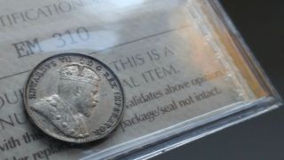 1908 Canada Silver 5 Cents Coin - ICCS VF - 30 Large 8 - Old ICCS 2 Letter Holder 5