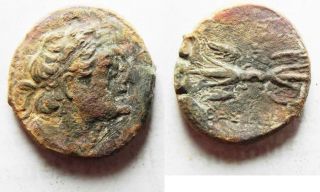 Zurqieh - As10715 - Ptolemaic Kings Of Egypt.  Ptolemy Ii Philadelphos.  285 - 246 Bc.