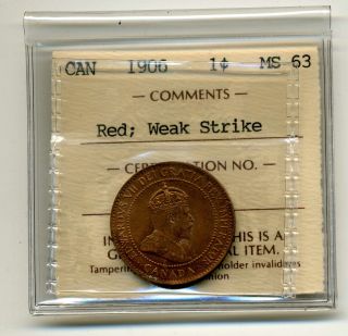 Canada 1c 1906 Edward Vii Large Cent Ms63rd Iccs Tk 192