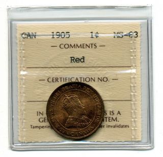 Canada 1c 1905 Edward Vii Large Cent Ms63rd Iccs Ve 868