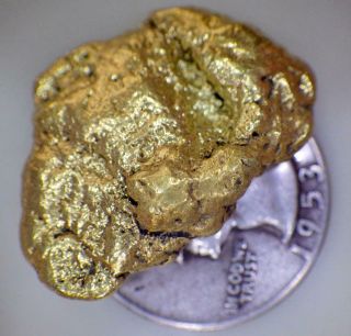 Gold Nugget Alaskan 19.  511 Grams Natural Placer Switchfork Creek Fortymile Dist