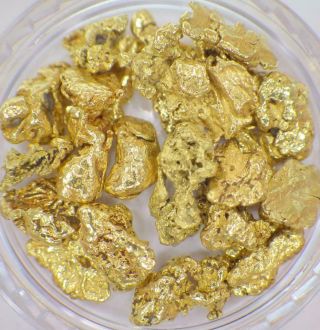 Gold Nuggets 10,  Grams Alaskan Natural Placer 6 Deadwood Creek High Purity