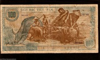 Vietnam 100 Dong P8 1946 Hcm Buffalo Large Rare Money Bill Vietnamese Bank Note