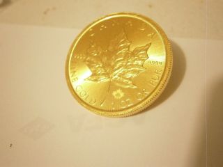 One oz 9999 pure Canadian gold coin 2015 Uncirculated 3