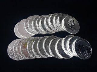 2011 Canada Wildlife Series 25,  1 Oz Silver Grizzly Bear Coins
