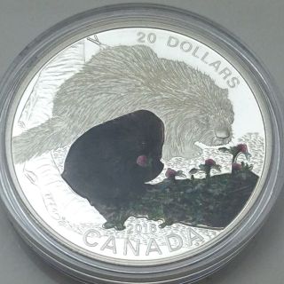 2016 Proof Baby Porcupine 20 Twenty Dollar Silver 999 Canadian Rcm Coin C981