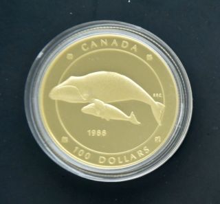 1988 Canada Canadian $100 Gold Proof Whale Coin W.  Box/coa 1/4 Oz.  Of Pure Gold