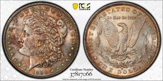 1894 - S $1 Morgan - Certified: Pcgs Unc - Details -