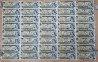 1973 Canada 1 Dollar Bank Note Uncut Sheet Of 40 5x8 Format - Bfl In Tube