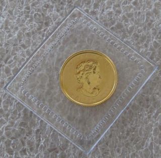 2011 Canada Gold $1 Dollar Maple Leaf Bullion Cameo