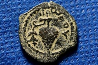 Judaea Herodians,  Herod Ii Archelaus,  4 Bce - 6 Ce.  Grape Prutah.  Judea Jerusalem.