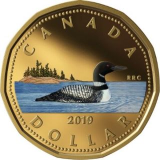 2019 Canada Paint Fine Silver Loonie Graded As Proof From Set