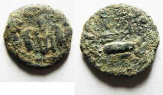 Zurqieh - As11837 - As Found: Judaea.  Pontius Pilate Ae Prutah