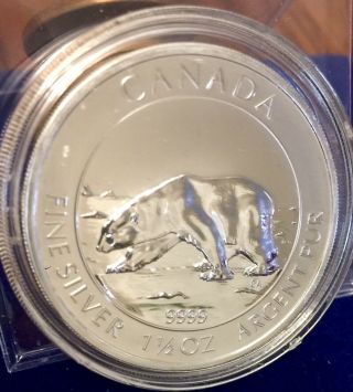 2013 Canadian Arctic Polar Bear 1 1/2 Oz.  9999 Fine Silver $8