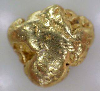 Gold Nugget Natural Alaska Placer 5.  377 Grams Ak.  1728 Oz T Hunter Creek Hi Pure