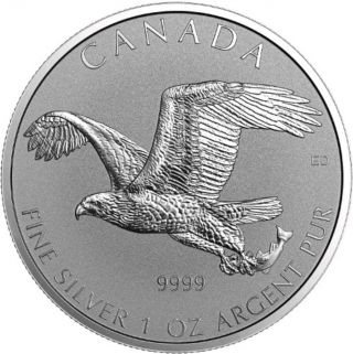 2017 1 Oz Silver $5 Canadian Birds Of Prey Bald Eagle,  Reverse Proof Coin.