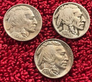 1920,  1926 - D,  1937 - S Buffalo Nickels,  Xf/bu,
