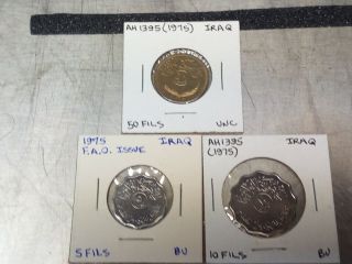 Ah 1395 1975 Iraq 5,  10,  50 Fils Uncirculated Coin,  3 X Coin (s)
