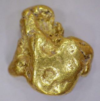 Gold Nugget Natural Alaska Placer 7.  967 Grams Ak.  2561 Oz T Hunter Creek Hi Pure