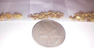 10 Grams Yukon Gold Nuggets 6&8 Screen Natural Placer Mine Over 1/4 Ounce