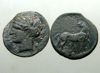 Carthage Zeugitana Bronze Ae22_tanit / Horse_queen Dido / Punic Wars