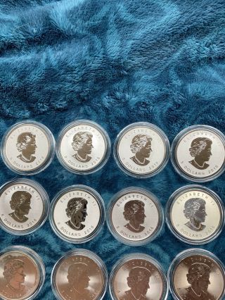 Canada Silver Maple Leaf - 1 Oz - $5 - Bu - 16 Coins - 2016