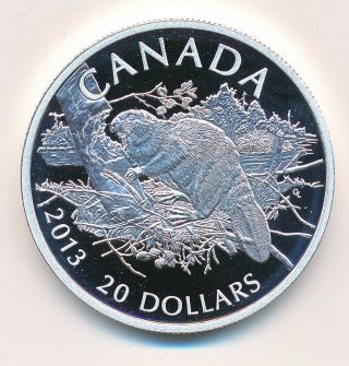 Canada 20 Dollars 2013 Beaver - Proof.  999 Silver