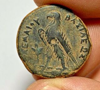 Ancient Greek Ptolemy Bronze Coin Vi Philometor 180 - 145 B.  C 13.  9gr 26.  6mm