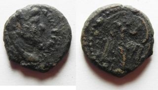 Zurqieh - Aa8712 - As Found.  Judaea Capta Under Domitian Ae 17