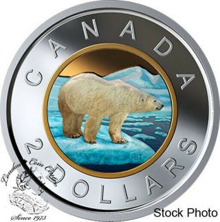 Canada 2019 $2 Coloured Selective Gold - Plating Pure Silver Coin