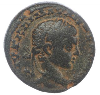 Roman Bronze Coin Seleucis & Pieria Antioch Ae Semis Elagabal Wreath Ae19 5,  47g