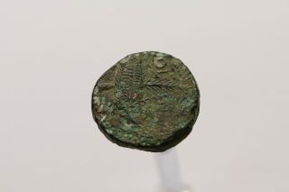 Ancient Old Roman Coin 2 Heads Sharp Details 12.  39 Gr.  B16 2047
