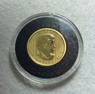 2013 Canada 1/4 oz Gold $10 Polar Bear Pure Gold 9999 Bullion Coin 2