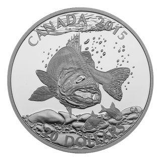 Canada $20 Dollars Silver Proof Coin,  1 Oz 2015 North American Sportfish Walleye