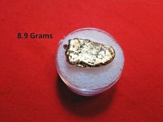 Gold Nugget From The American River 8.  9 Grams
