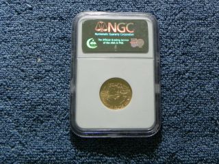 Us 2005 - Us Gold $10 Dollar American Eagle - 1/4 Oz,  Ngc Ms69