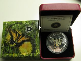 2013 Proof $20 Butterflies Of Canada 1 - Tiger Swallowtail.  9999 Silver Twenty Do