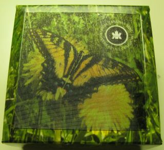 2013 Proof $20 Butterflies of Canada 1 - Tiger Swallowtail.  9999 silver twenty do 3