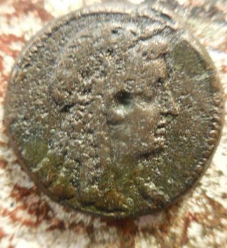 28mm Ptolemy Vi Philometor 180 - 145 Bc,  Head Of Cleopatra I As Isis / Eagle