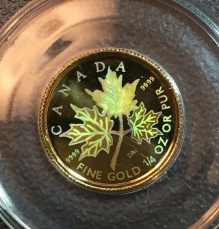 2001 Canada Gold Maple Leaf Hologram 1/4 Oz Only 15,  000 - Display Box & 2113