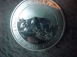 2013 Canada 1.  5 Oz Silver Polar Bear Coin - - Bu