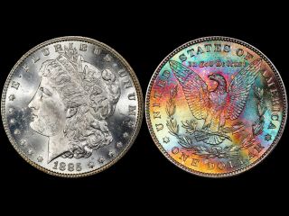 1885 - P Morgan Dollar PCGS MS63 True Rainbow Bag Toned Color Textile Toning 5